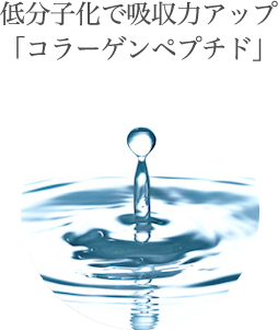 低分子化で吸収力アップ「コラーゲンペプチド」